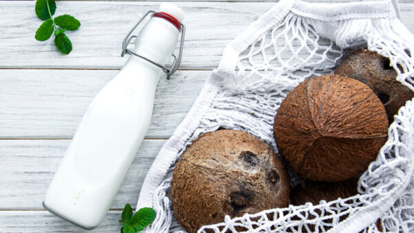 Além da soja. Bebidas vegetais trazem ingredientes como cacau, amendoim e coco