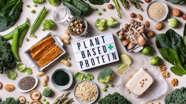 Mitos e verdades sobre a proteína vegetal